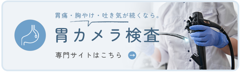 胃カメラ検査