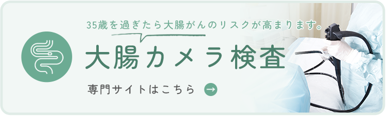 大腸カメラ検査